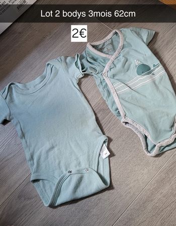 Lot 2 bodys
