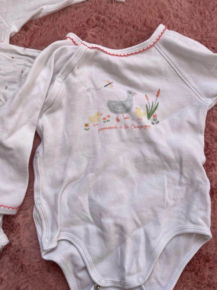 3 bodies bébé fille 6 mois - photo numéro 3