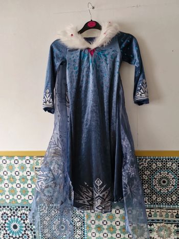 Déguisement elsa reine des neige