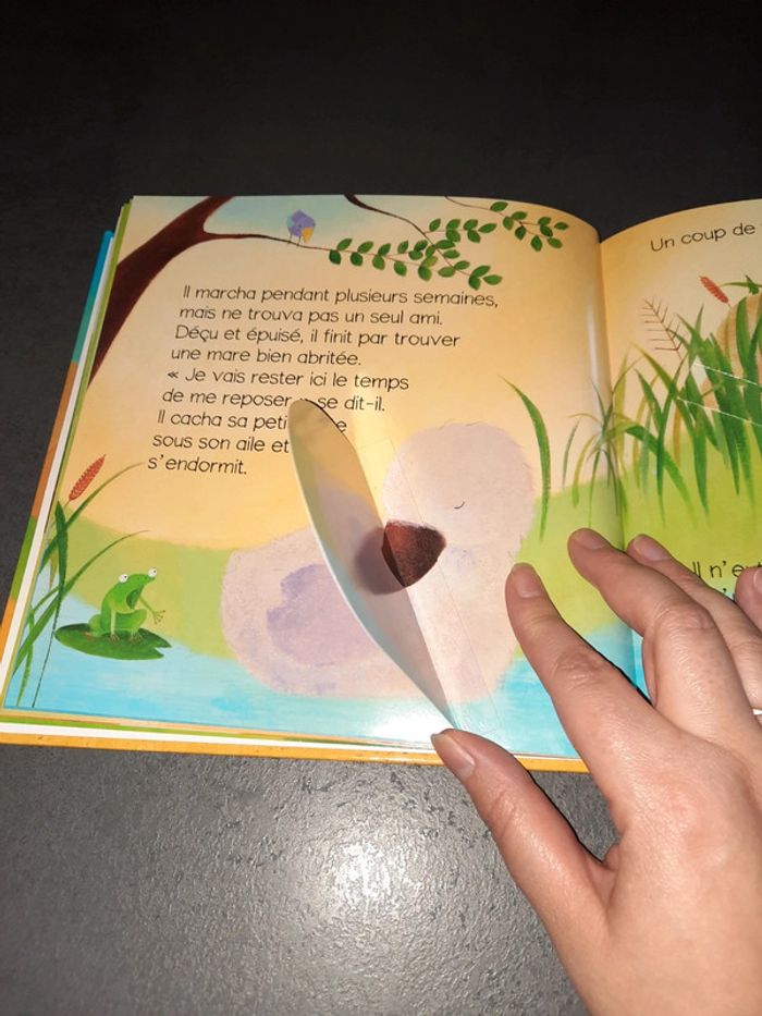 Livre Le vilain petit canard - photo numéro 4