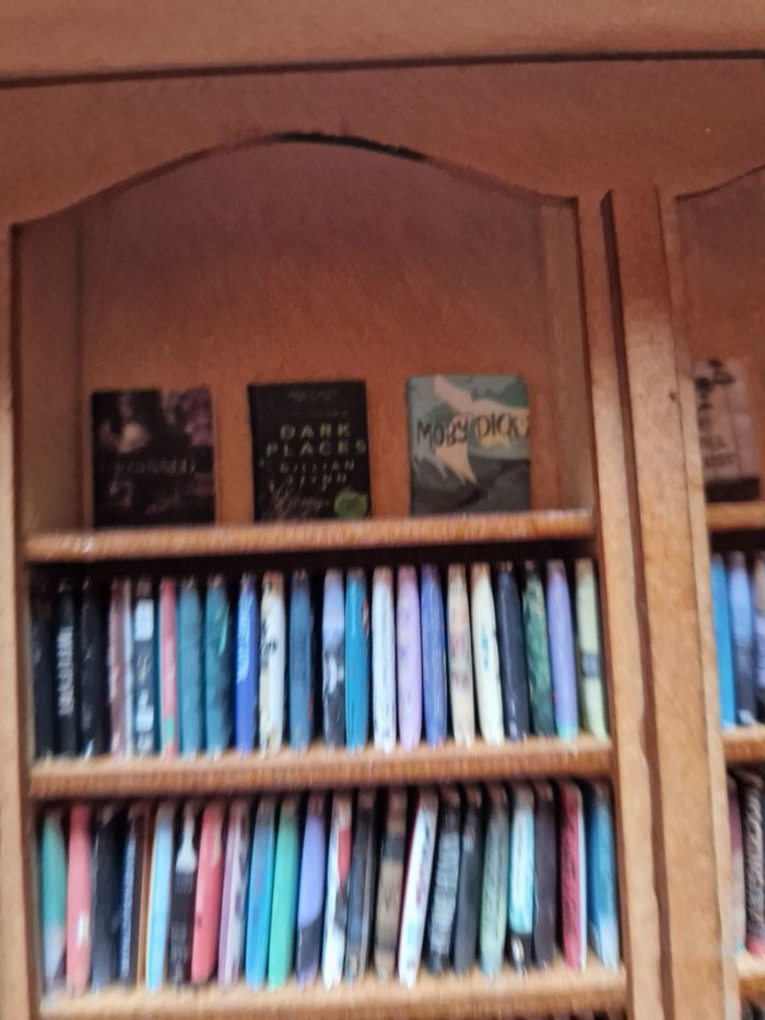 Mini bibliothèque - photo numéro 2