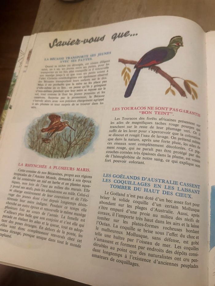Pierre Probst Jean Dorst - Encyclopédie en couleurs Le monde des oiseaux Hachette - photo numéro 13