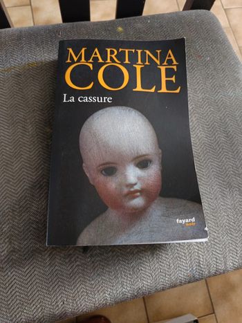 Livre : La cassure