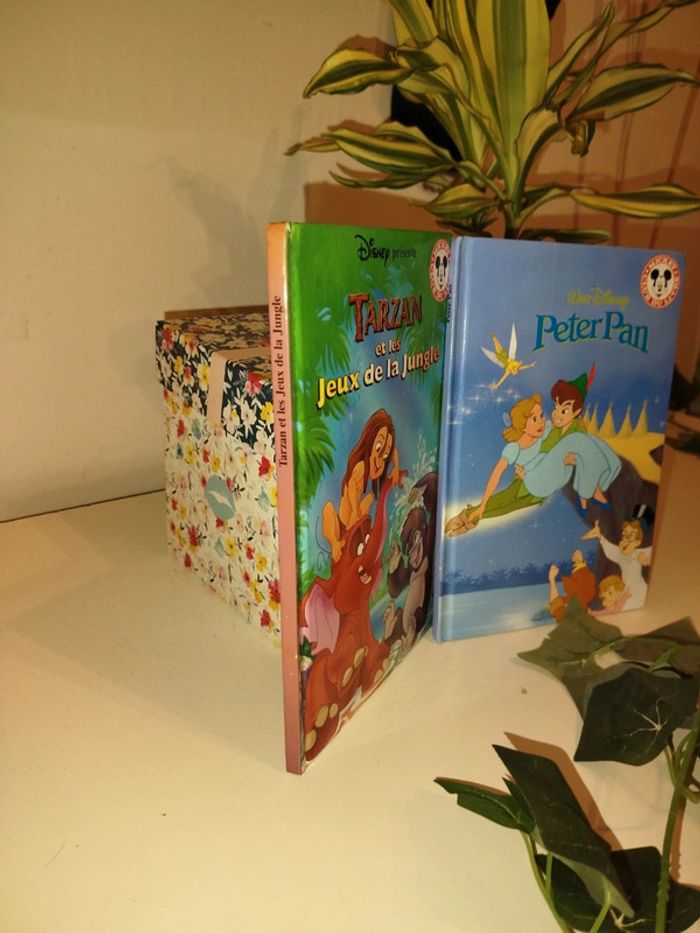 Deux livres Disney - photo numéro 3