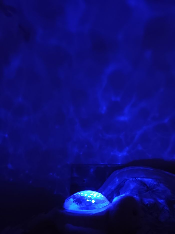 Veilleuse phoque - photo numéro 4