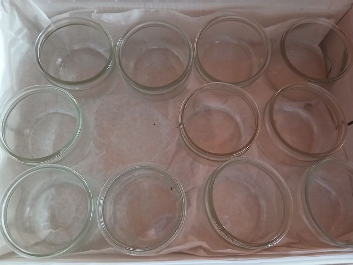 Petit pot - photo numéro 4