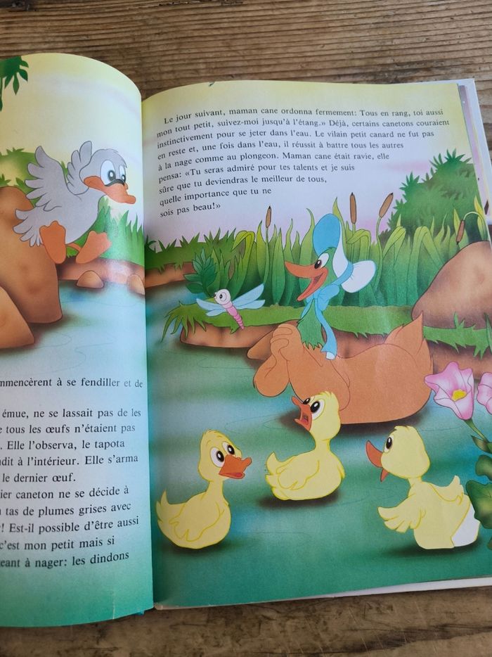 Le vilain petit canard - photo numéro 3
