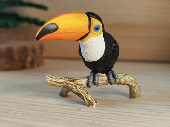 Schleich Oiseau Toucan Figurine Animal d'Amérique du sud