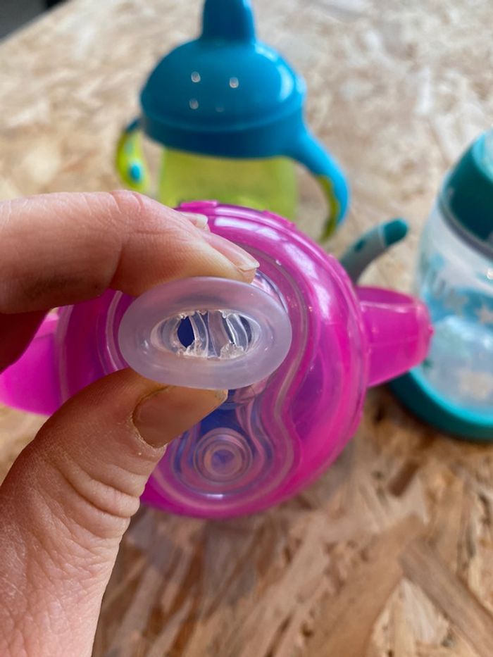 Lot gourdes - photo numéro 3