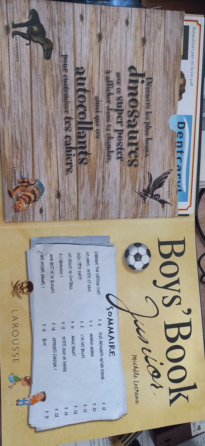 Livre garçon 6-11ans - photo numéro 3
