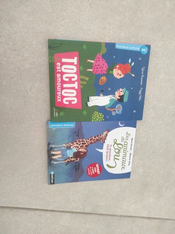 Lot de livres premières lectures