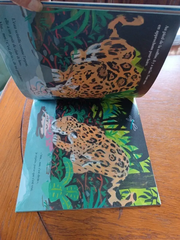 Soyons des jaguars - photo numéro 7