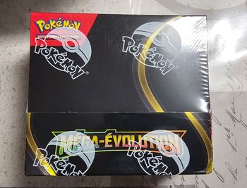 Display méga évolution