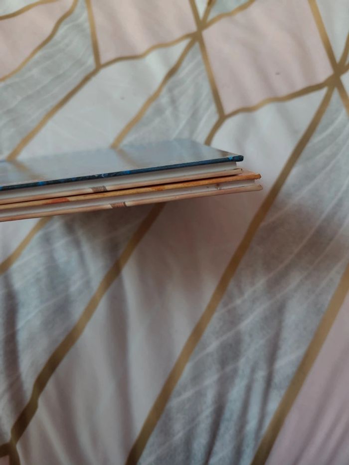 2 bd blueberry - photo numéro 4