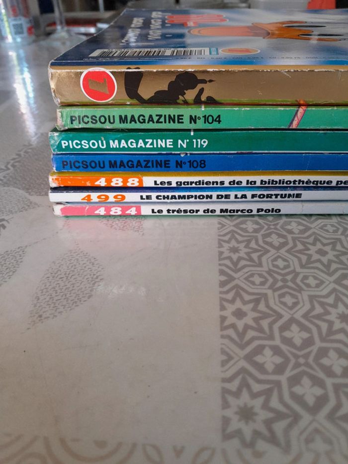 Picsou - photo numéro 3