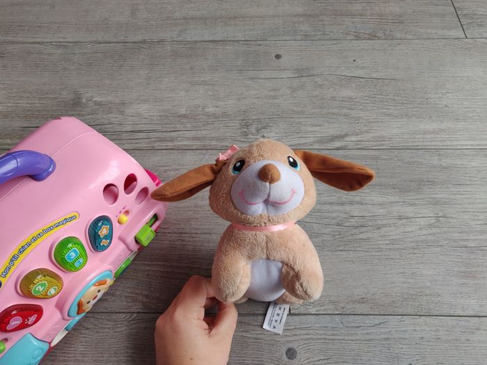 Mon petit chien et sa box magique - photo numéro 7