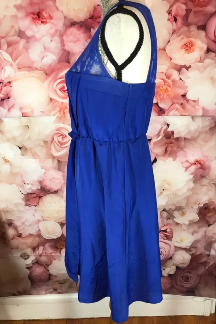 Robe bleue - photo numéro 2