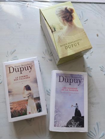 Lot de 4 romans Marie-Bernadette Dupuy