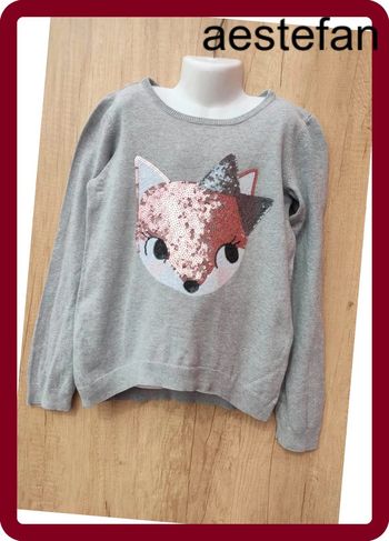 Pull fin gris Renard 8 ans 10 ans H&M