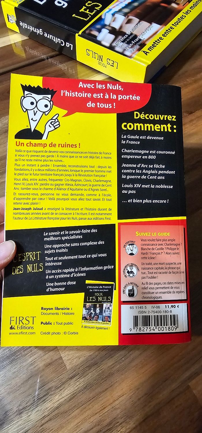 L'histoire de France pour les nuls - photo numéro 2