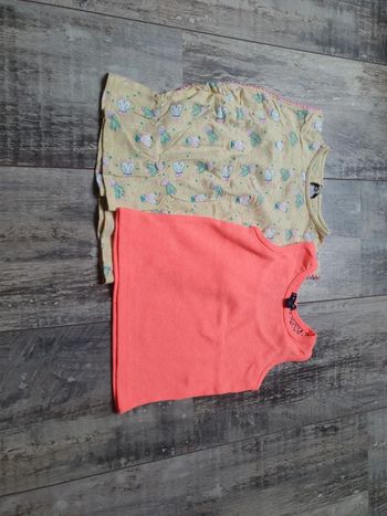 Lot de 2 tee shirt manches courtes