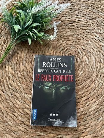 Livre - Le Faux Prophète