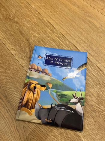 Livre mes 12 contes d’afrique