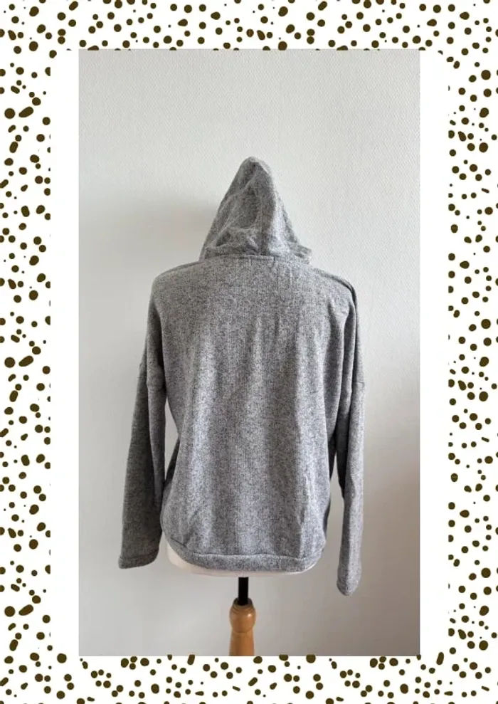 Sweat à capuche gris Gémo - photo numéro 3