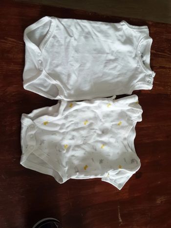 Body manches courtes