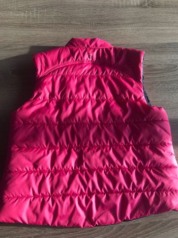 veste manches courtes équitation