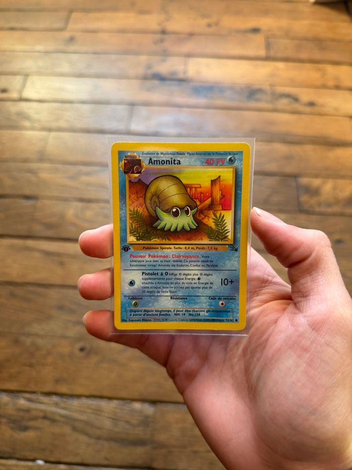 amonita 52/62 edition 1 set de base - fossile