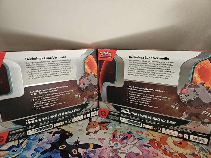 Lot de 2 Coffrets Pokémon Ursaking français - photo numéro 4