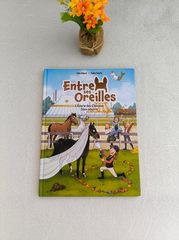 Livre Entre ses oreilles