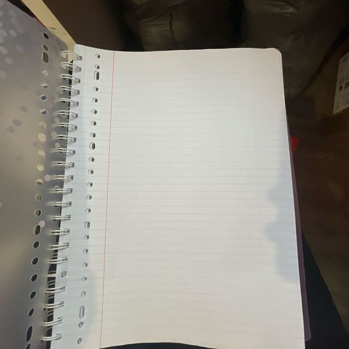 Cahier - photo numéro 3
