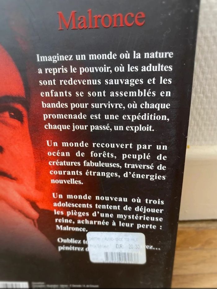 Roman - photo numéro 3
