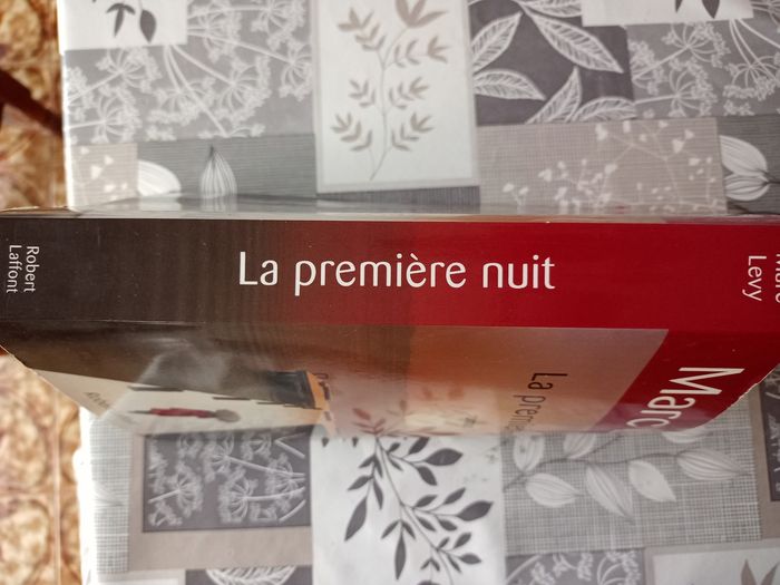 La première nuit de Marc levy - photo numéro 5