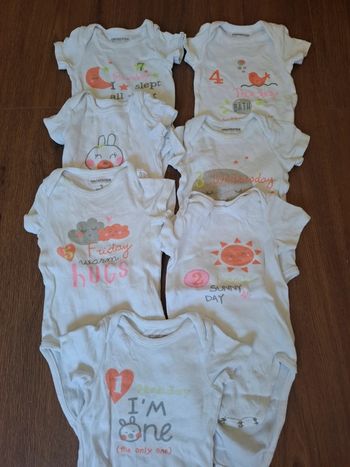Lot 7 bodies