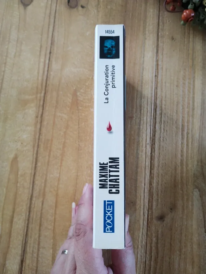 Saga "Ludivine Vancker" - Tome 1 à 3 - Maxime Chattam - photo numéro 5