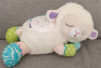 Lumi mouton nuit étoilée