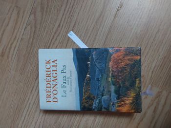 livre titre Les faux pas & Noel avant l'heure