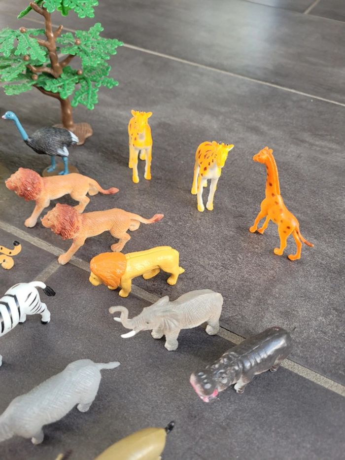 Lot animaux - photo numéro 5