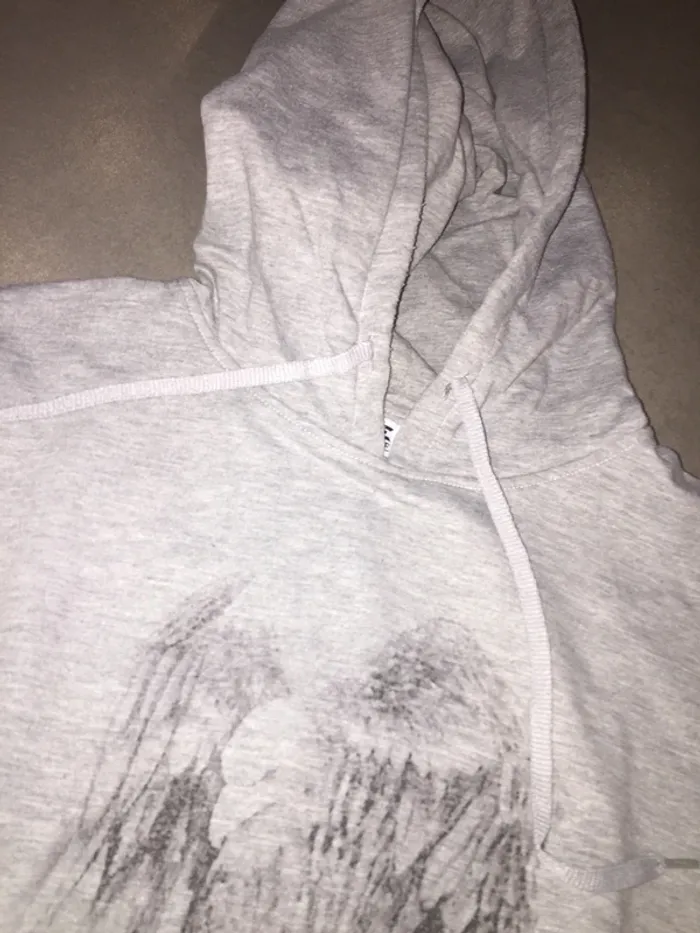 Pull à capuche gris - photo numéro 2