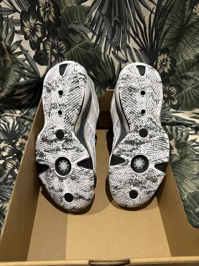 Air Jordan - photo numéro 5