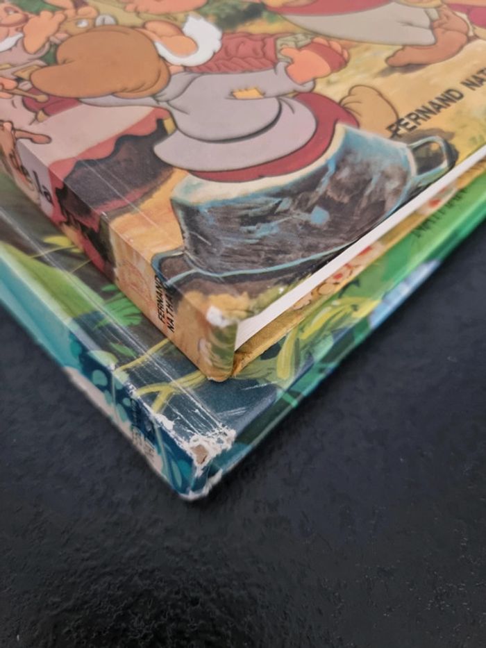 Lot de 2 livres anciens Disney - photo numéro 7