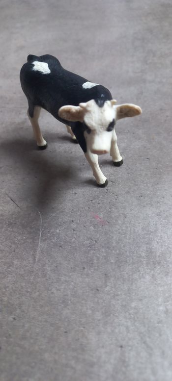 Veau papo