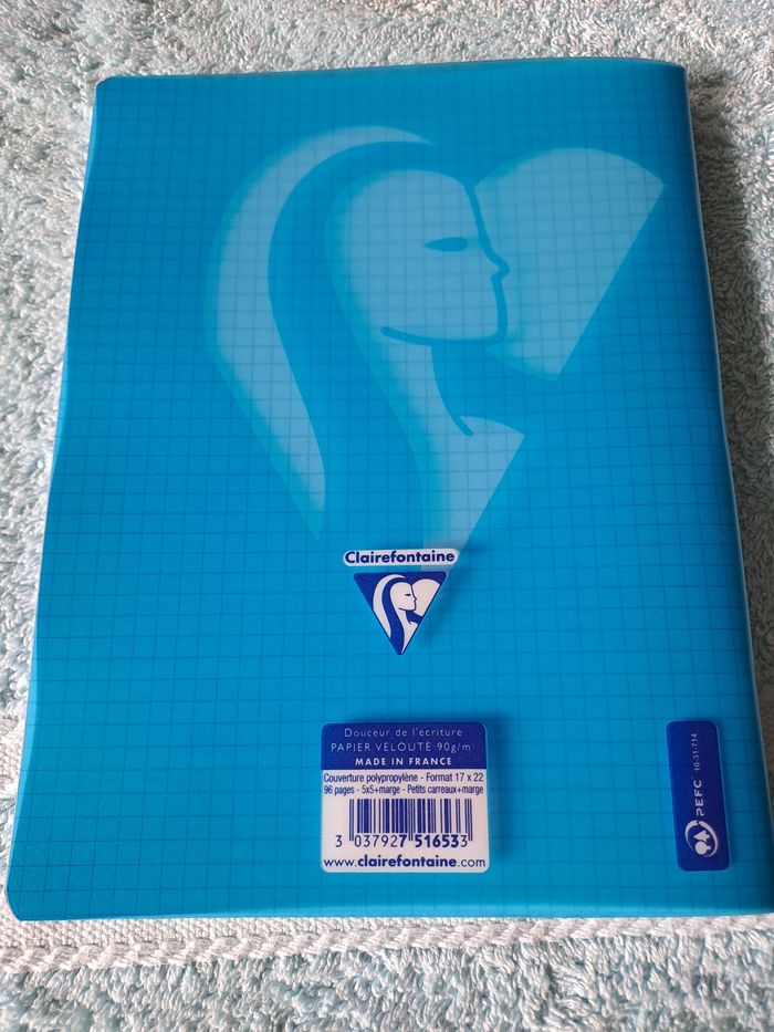 Cahier - photo numéro 3