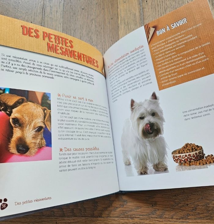 Livre Bien éduquer mon chiot - photo numéro 3