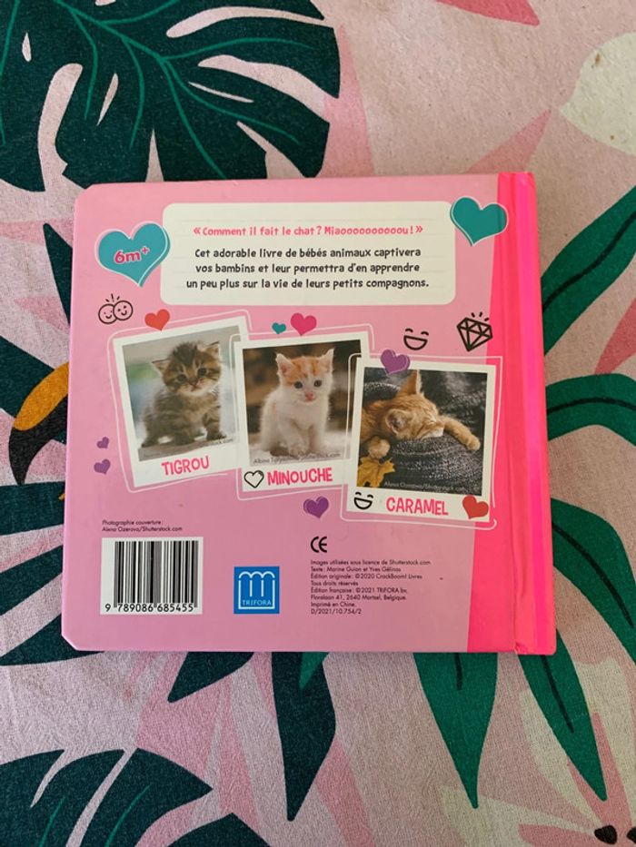 Chats mignons - photo numéro 2