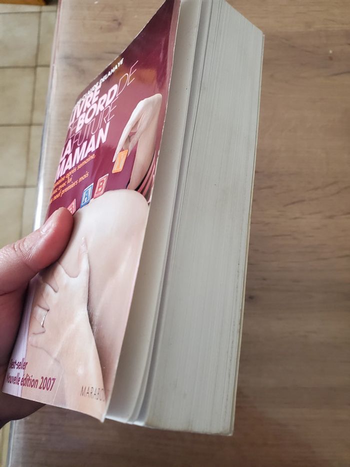 Livre de bord de la future maman de Marie-Claude Delahaye - photo numéro 2