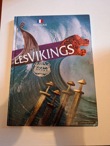 Livre les Vikings